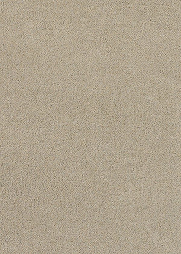 81602 - Image 3