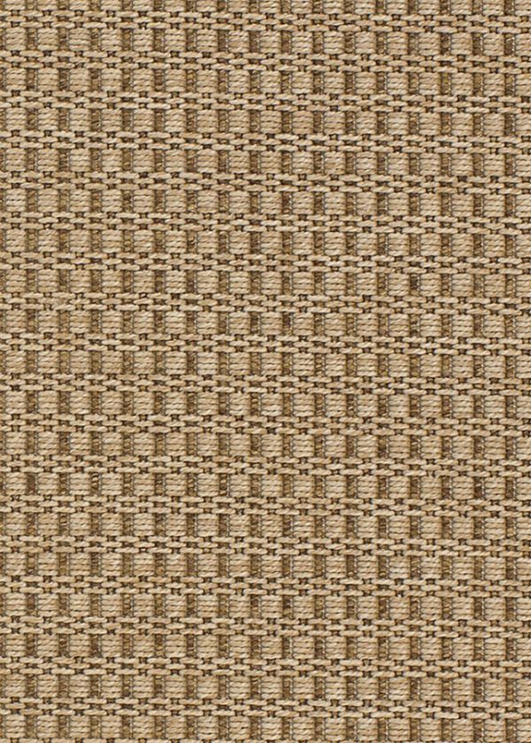 81575