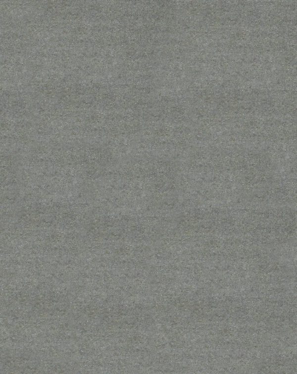 81413 - Image 2