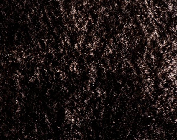 81532 - Image 2