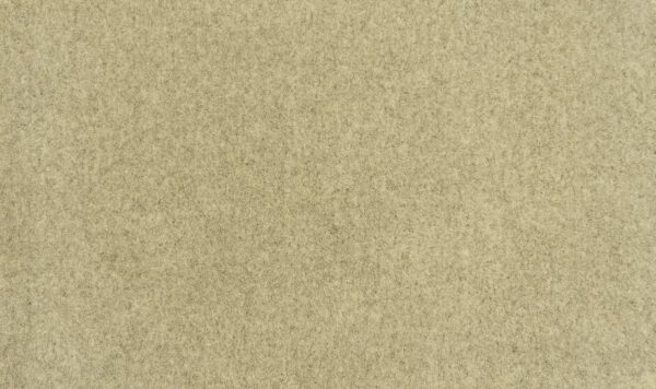 81200 - Image 2