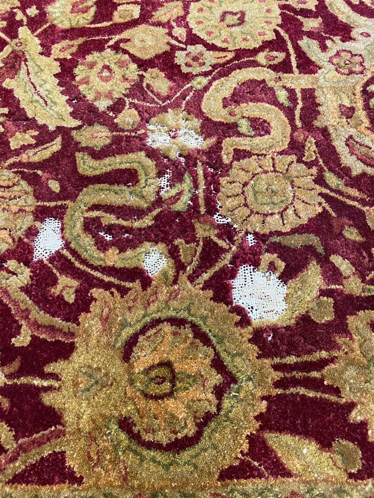 Rug Care - Moth Damage