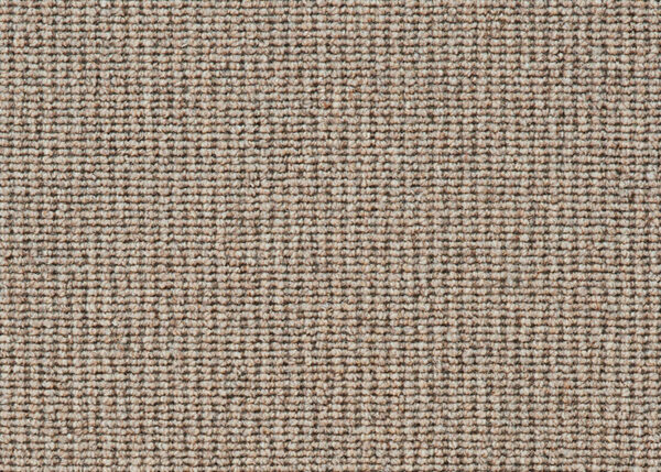 82829
