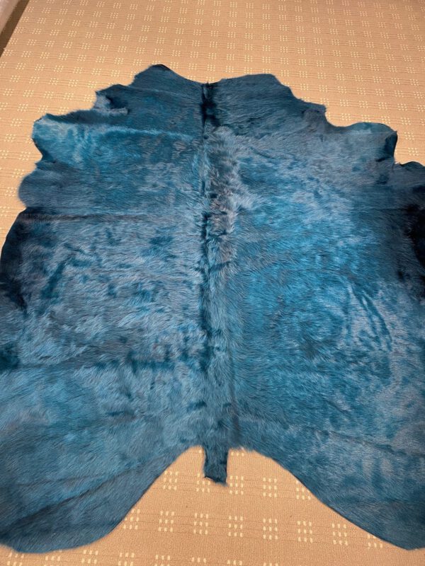 12887 - Image 2