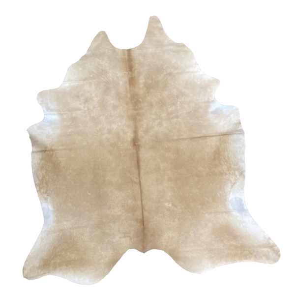 12971