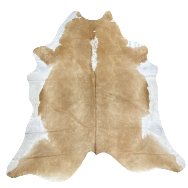 12972
