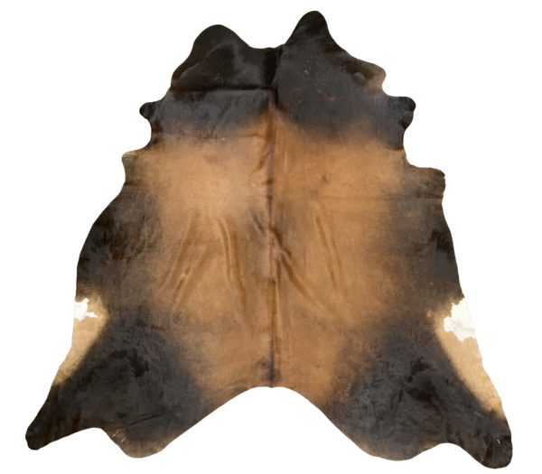 12975 - Image 2