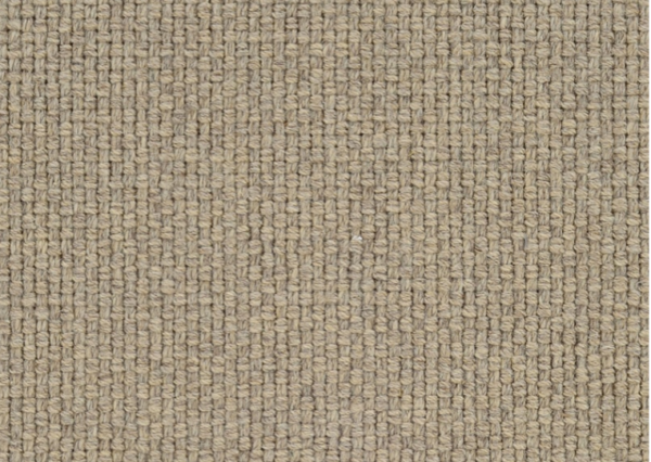 83081